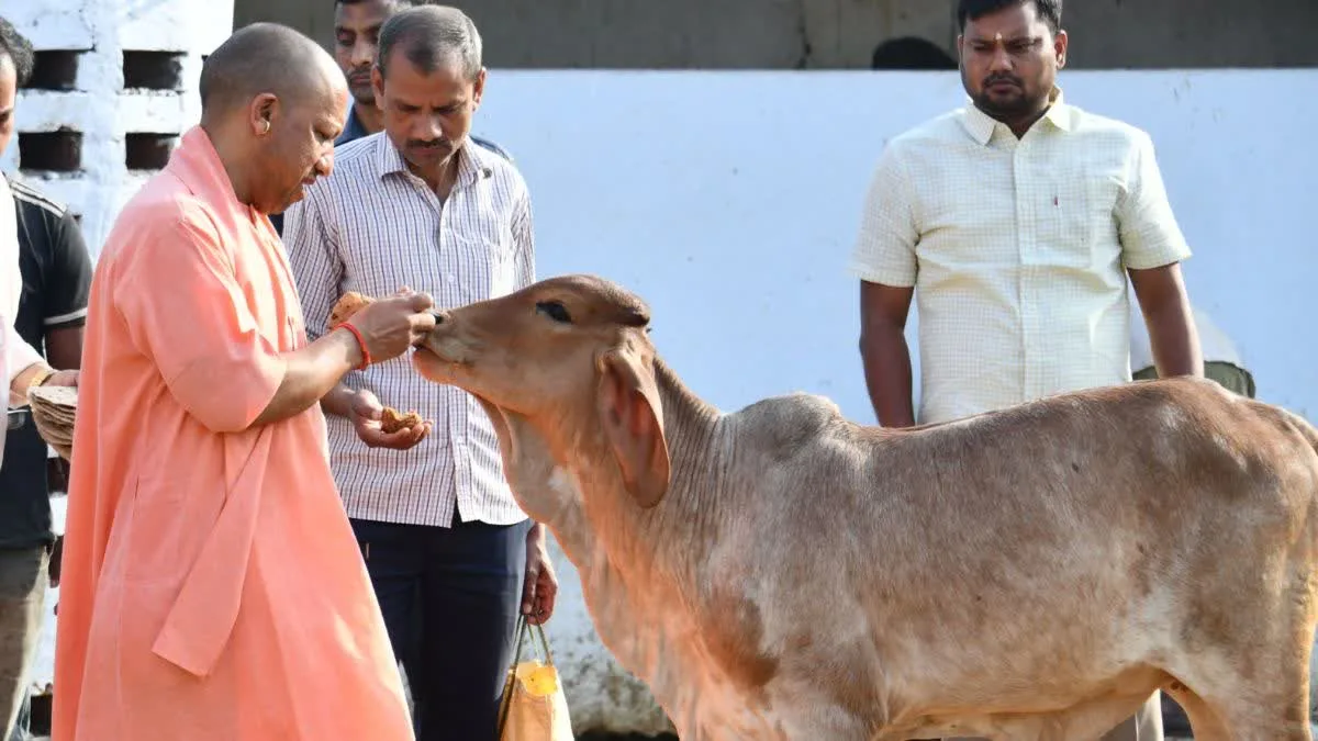 यूपी के सभी 75 जिलों में खुलेंगे पंचगव्य आउटलेट, गो आधारित उत्पादों को मिलेगा बाजार